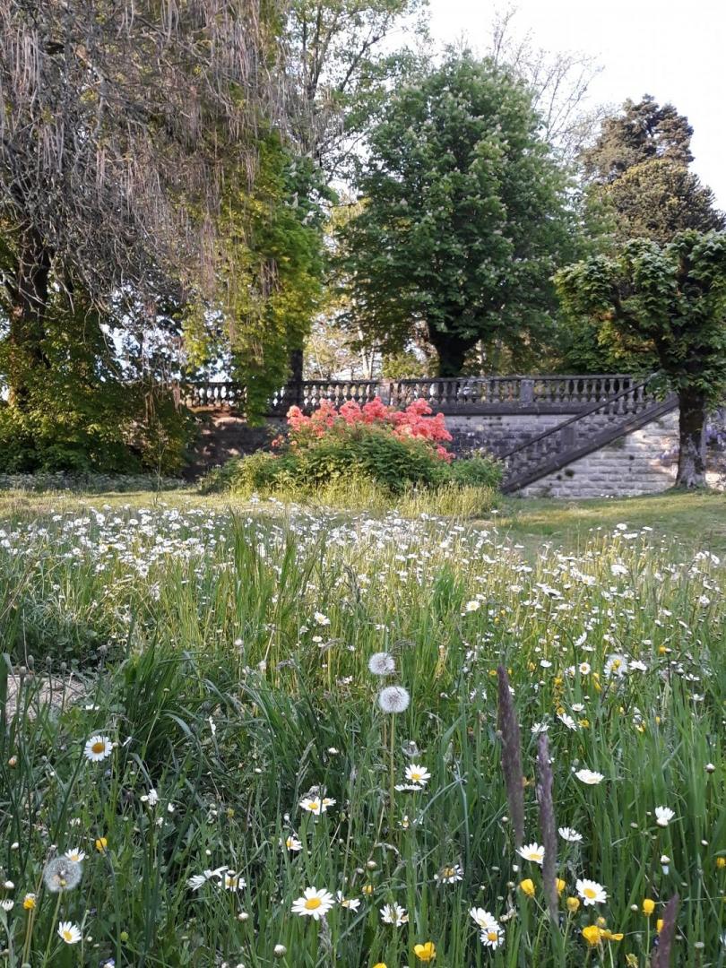 Le Château de Saint Roch