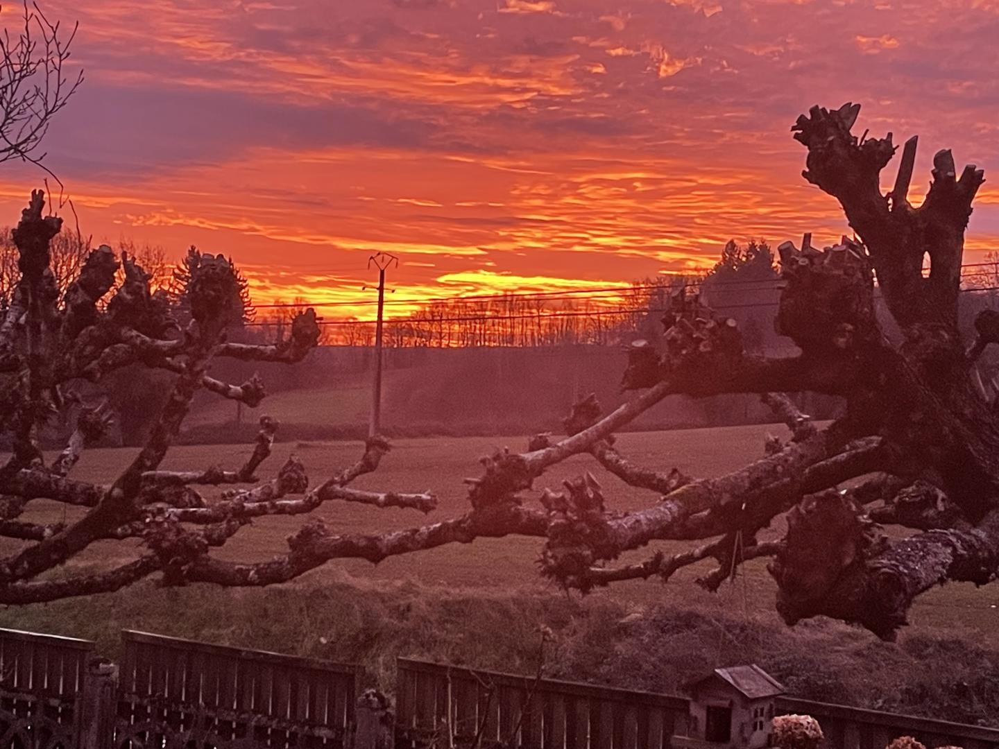 La Petite Ecosse