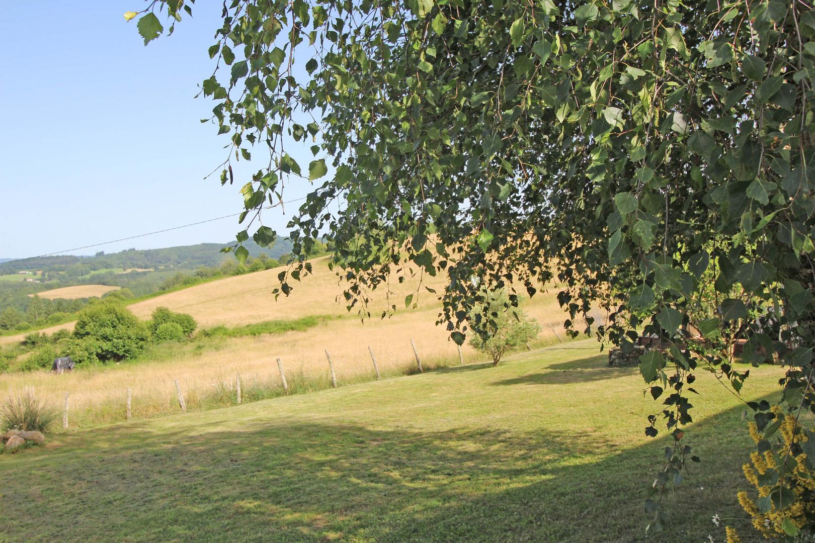 Terre Indigo