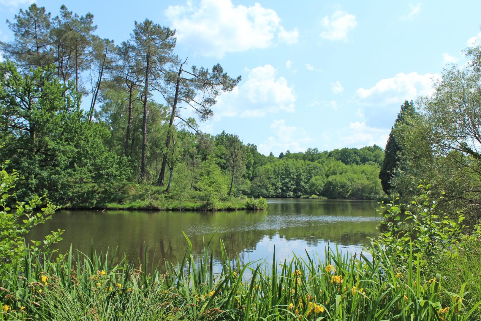 Le moulin