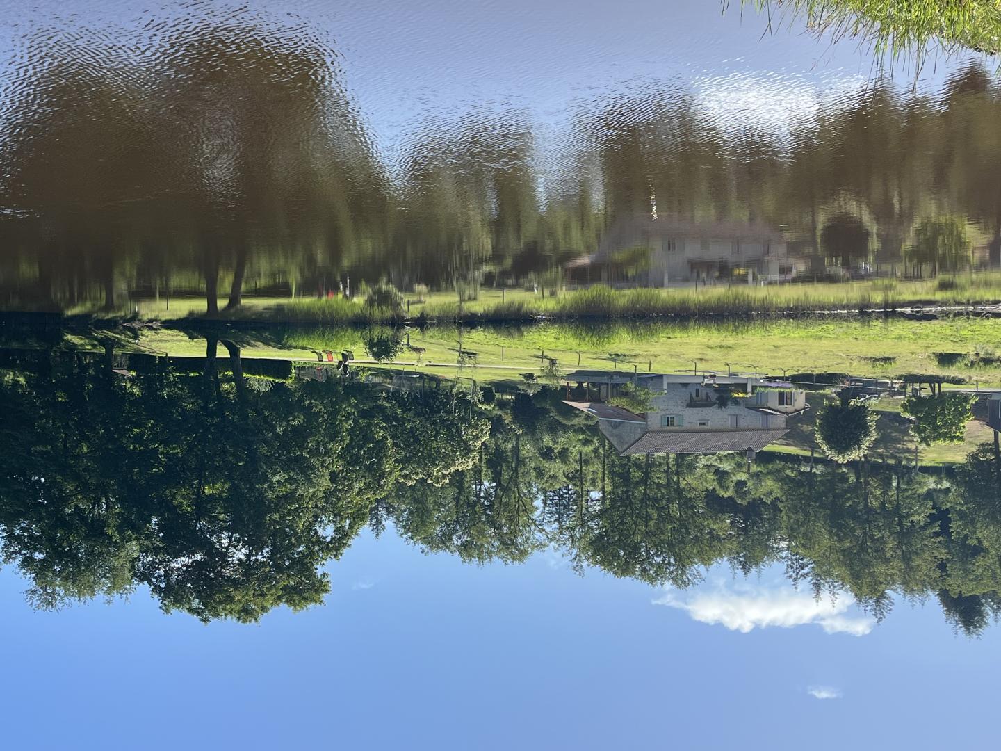 La Petite Lisonne