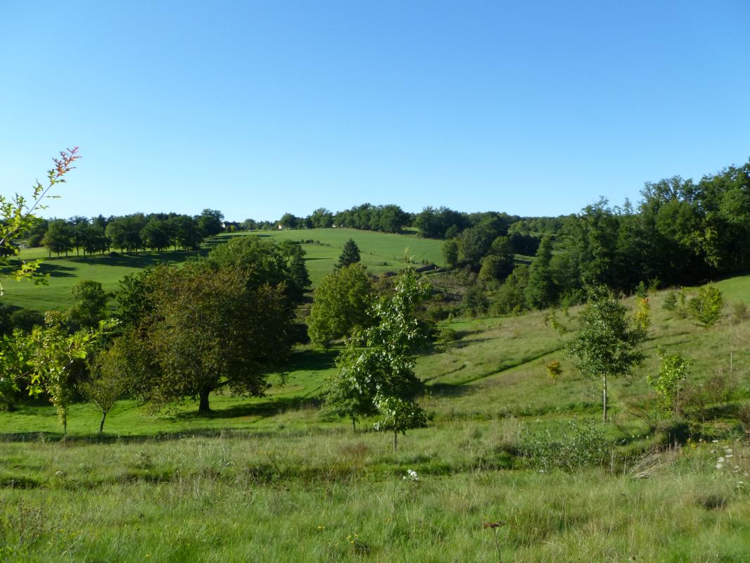 Leygat