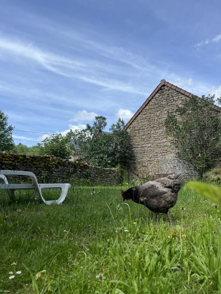 Gîte Le Fer à Cheval Vassivière 2 places
