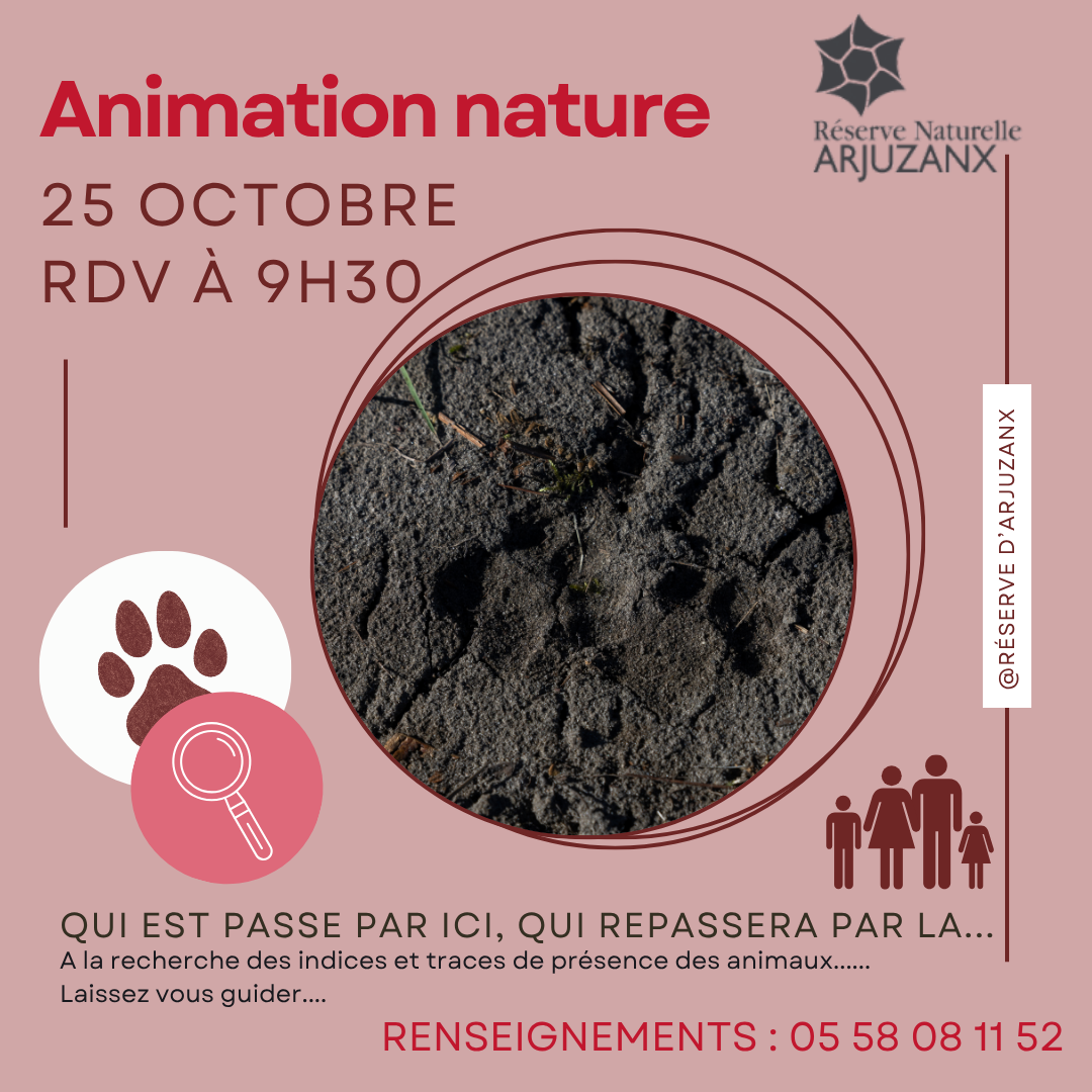 Il est passé par ici, Il repassera par là...