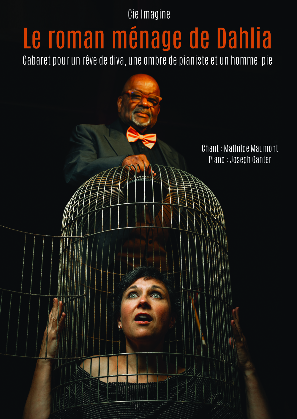 Pièces de Théâtre : Le roman ménage de Dahlia