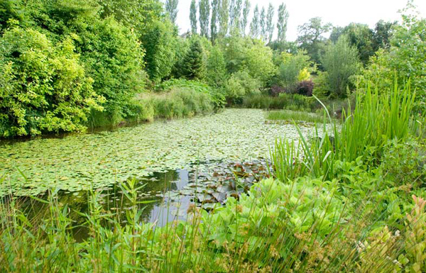 Arboretum de La Tuillière