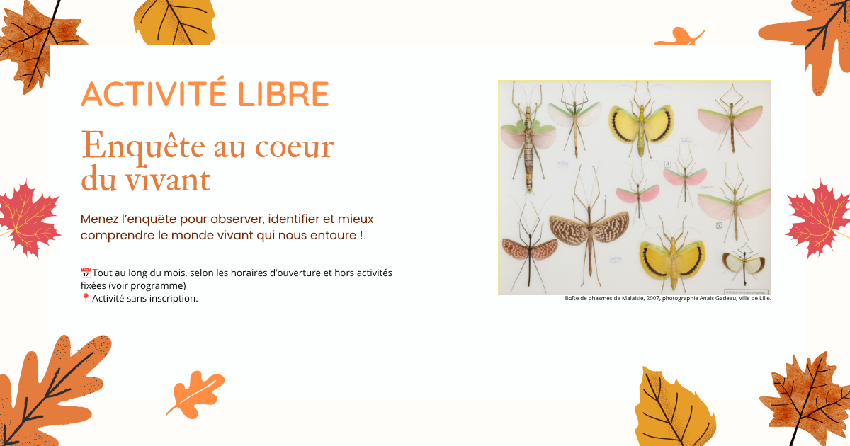Le musée numérique : l'automne et les petits bêtes