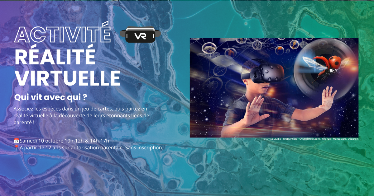 Activité réalité virtuelle : Qui vit avec qui ?