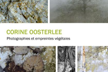 Exposition : Photographie par Corine Oosterlee