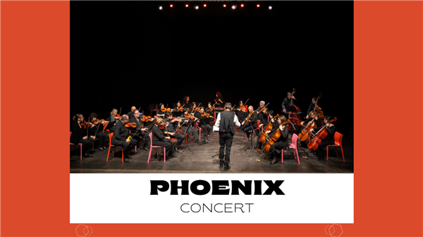 Affiche ou photo : Ensemble Orchestral Phoenix