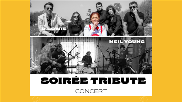 Affiche ou photo : Soirée Carte Blanche : David Bowie tribute et Neil Young Tribute (Apéro-Concert)