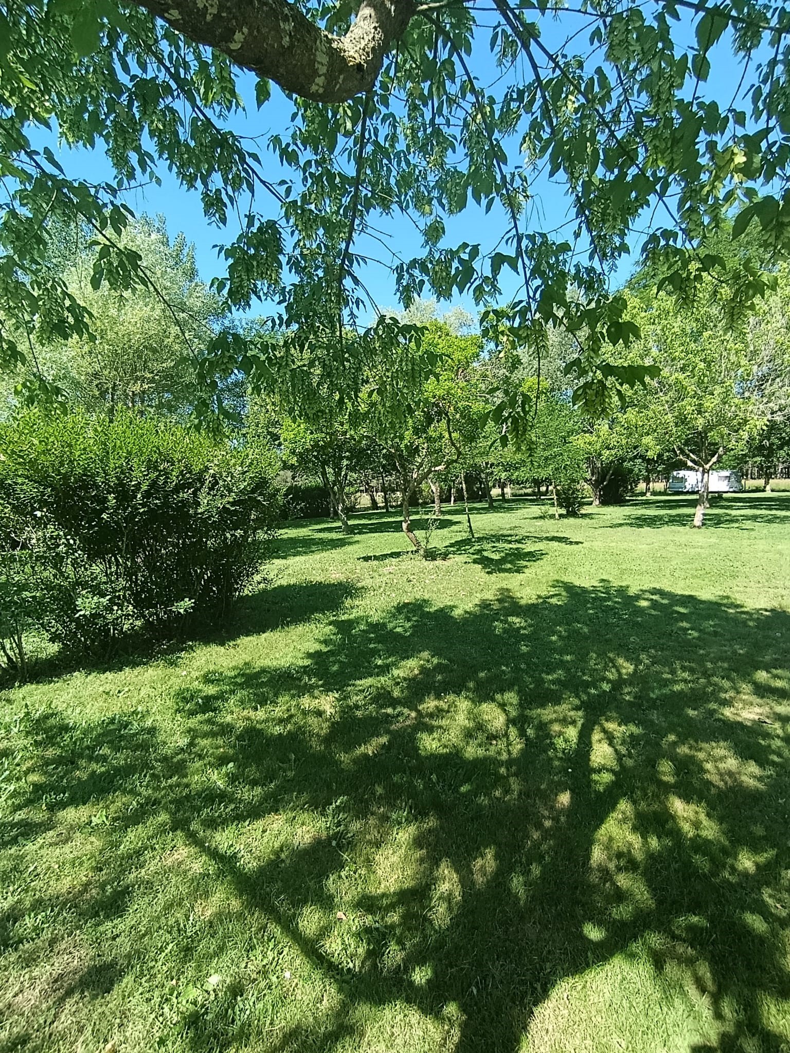 Aire naturelle de camping l'Alouette