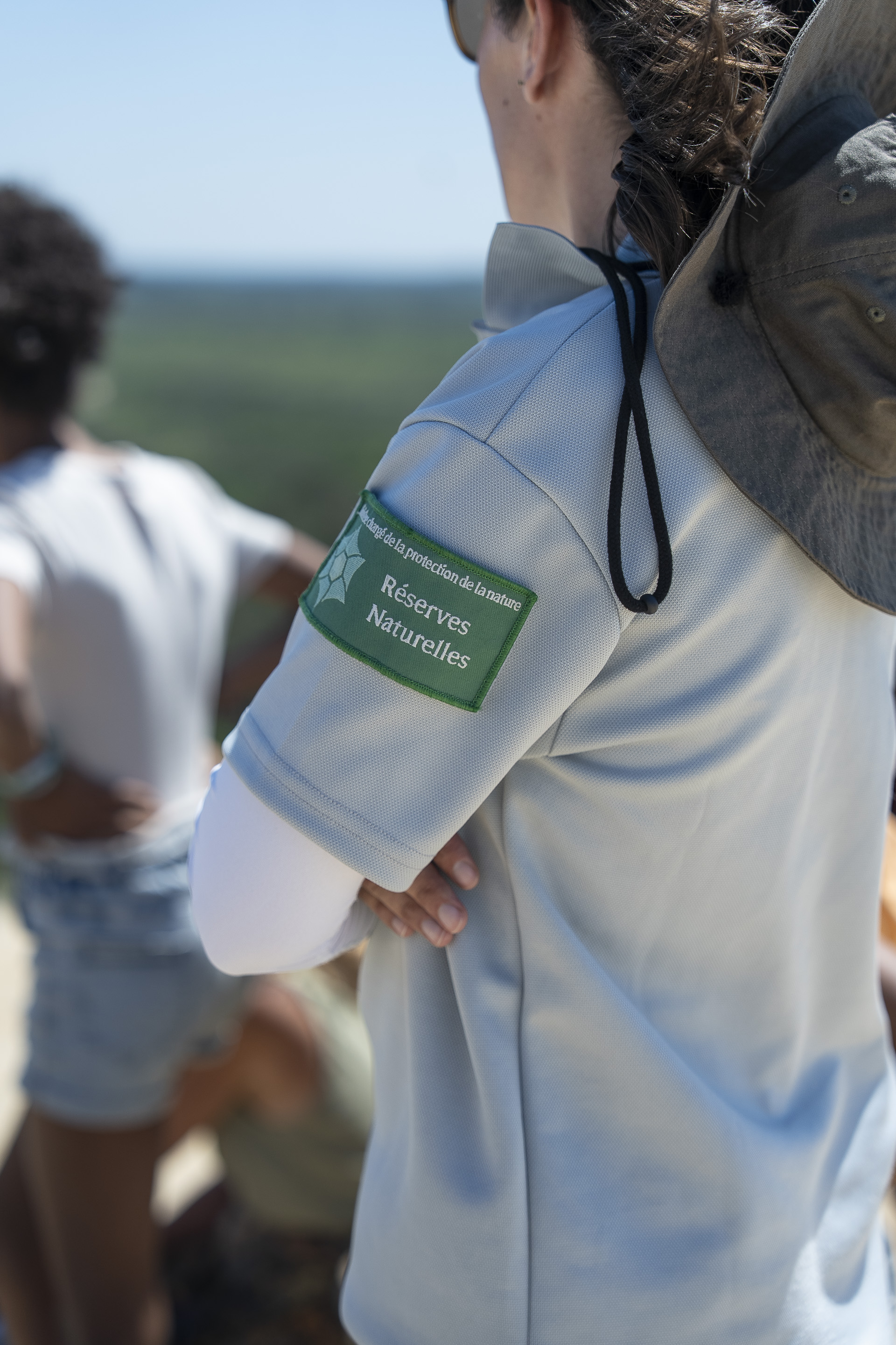 Balade nature : La migration des oiseaux à la Dune du Pilat