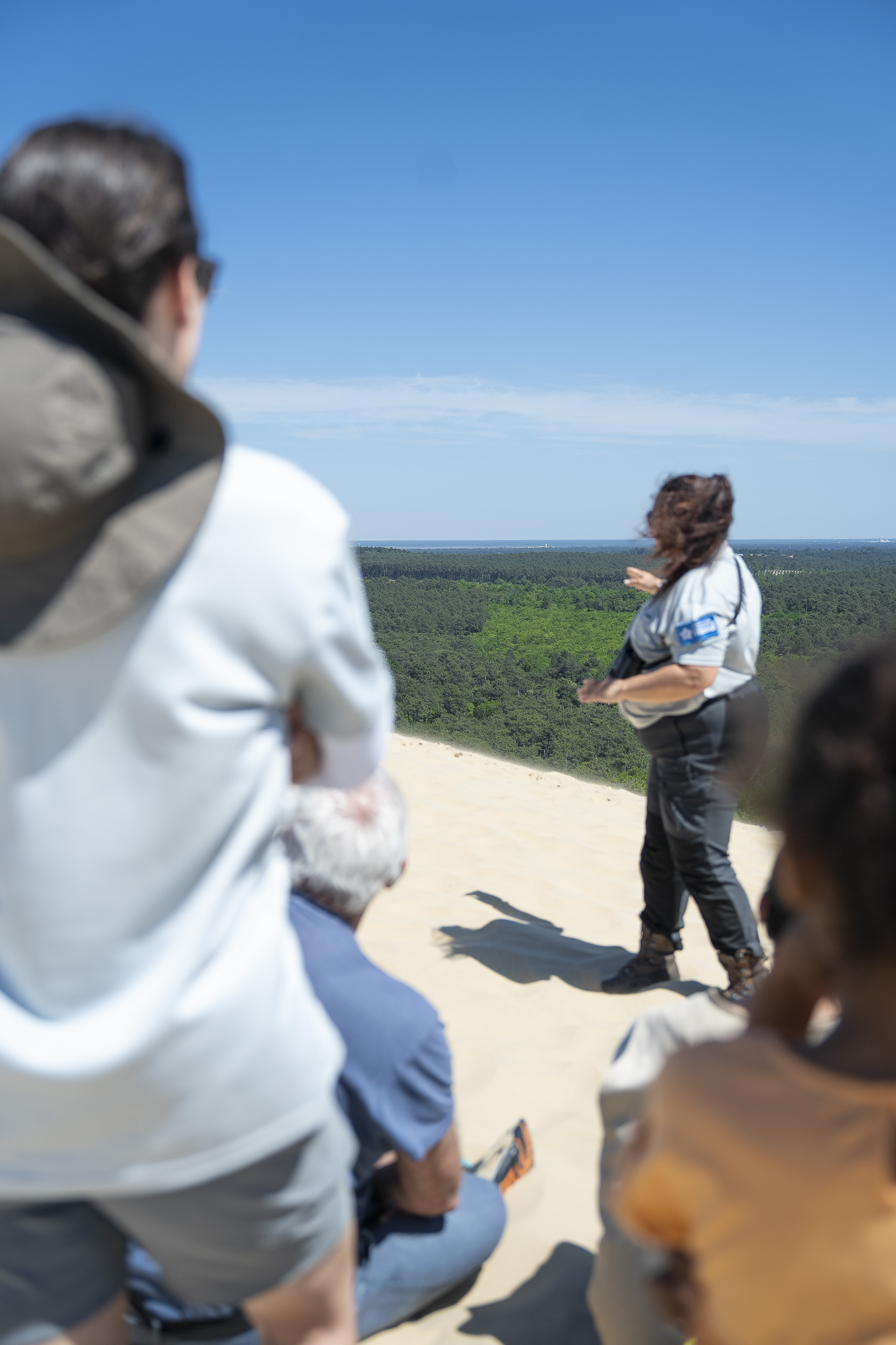 Balade nature : La migration des oiseaux à la Dune du Pilat