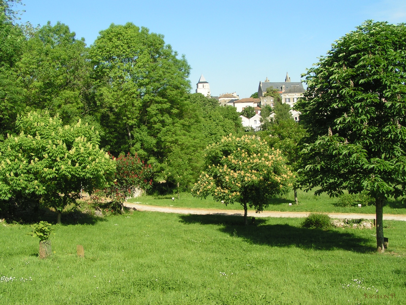 Arboretum du chemin de la découverte - Melle