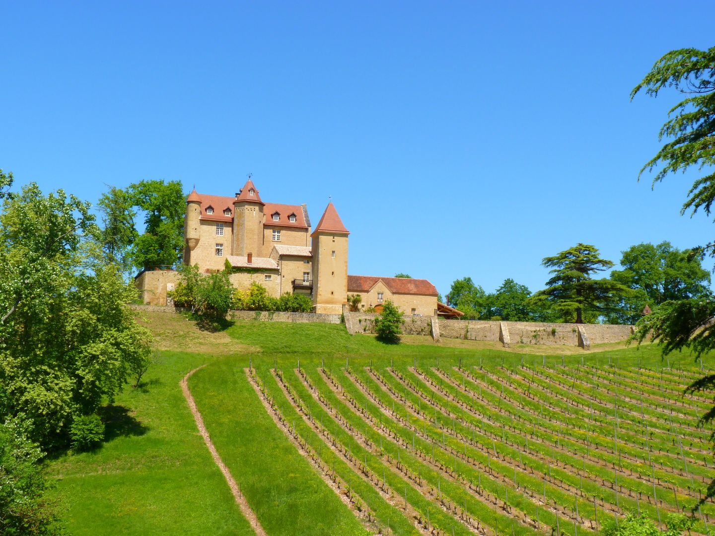 Châteaux et vignobles du Madiran - N°11