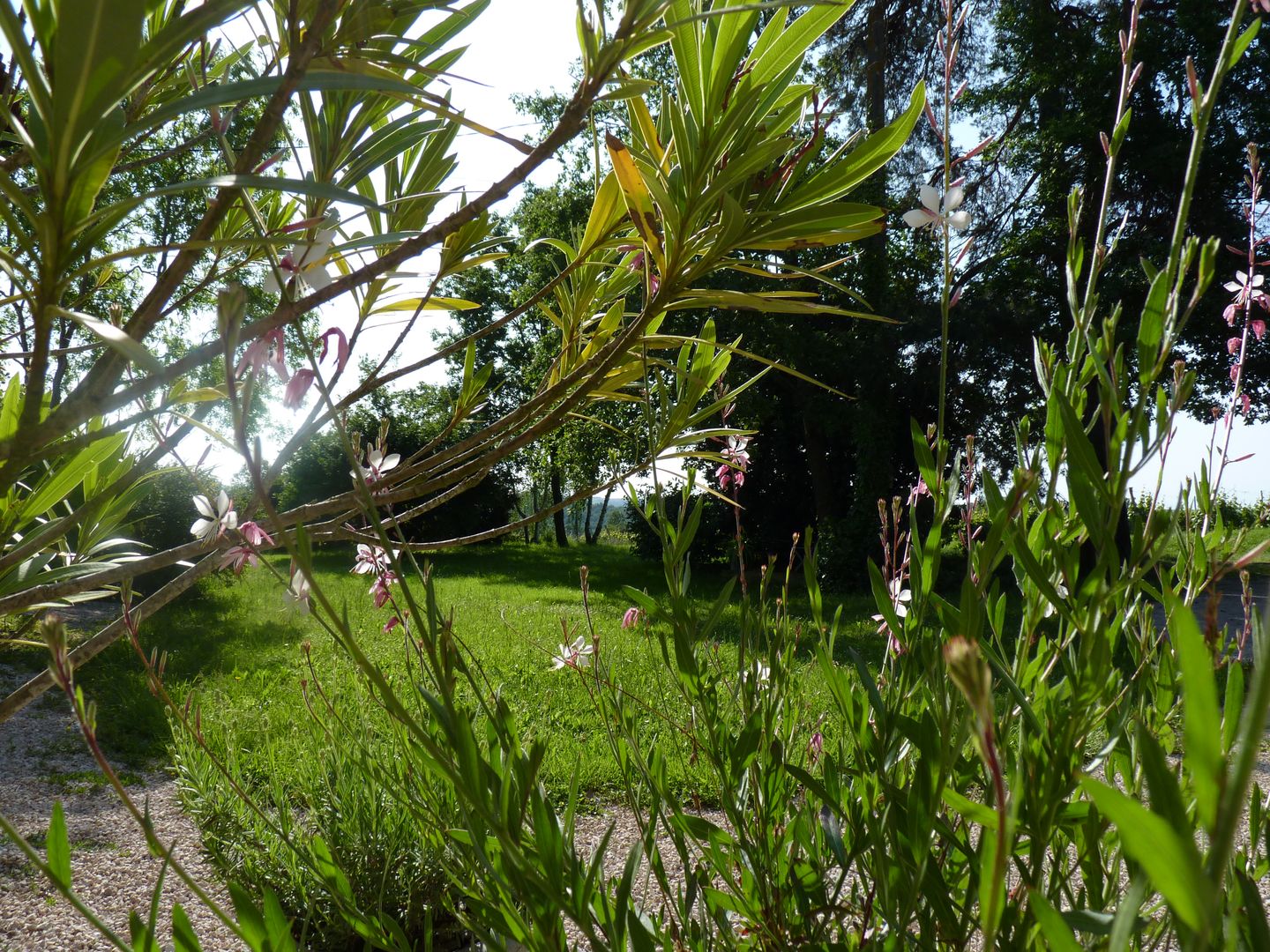 Domaine des Flandres