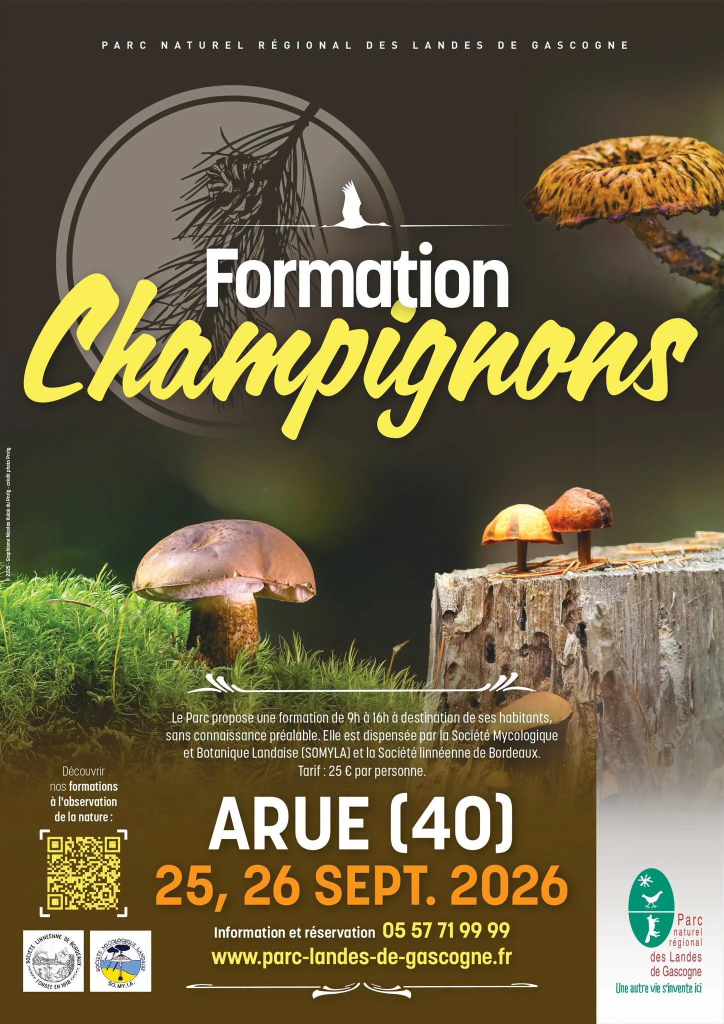Formation Champignons