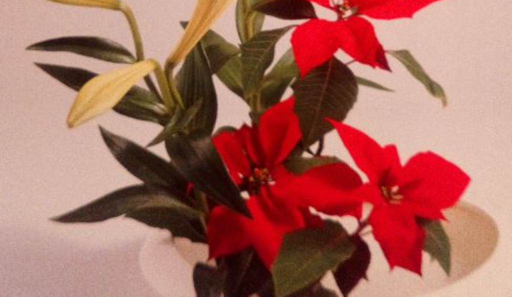 Démonstration et Atelier d'Ikebana