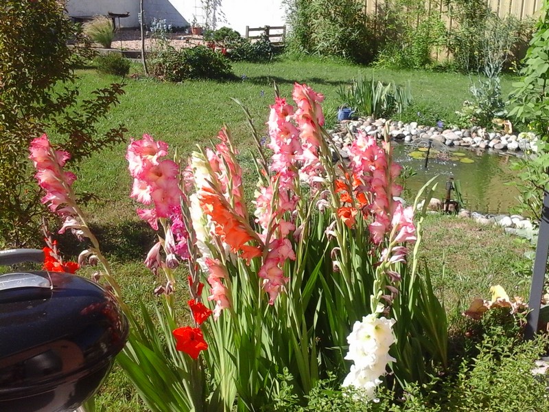 L'atelier