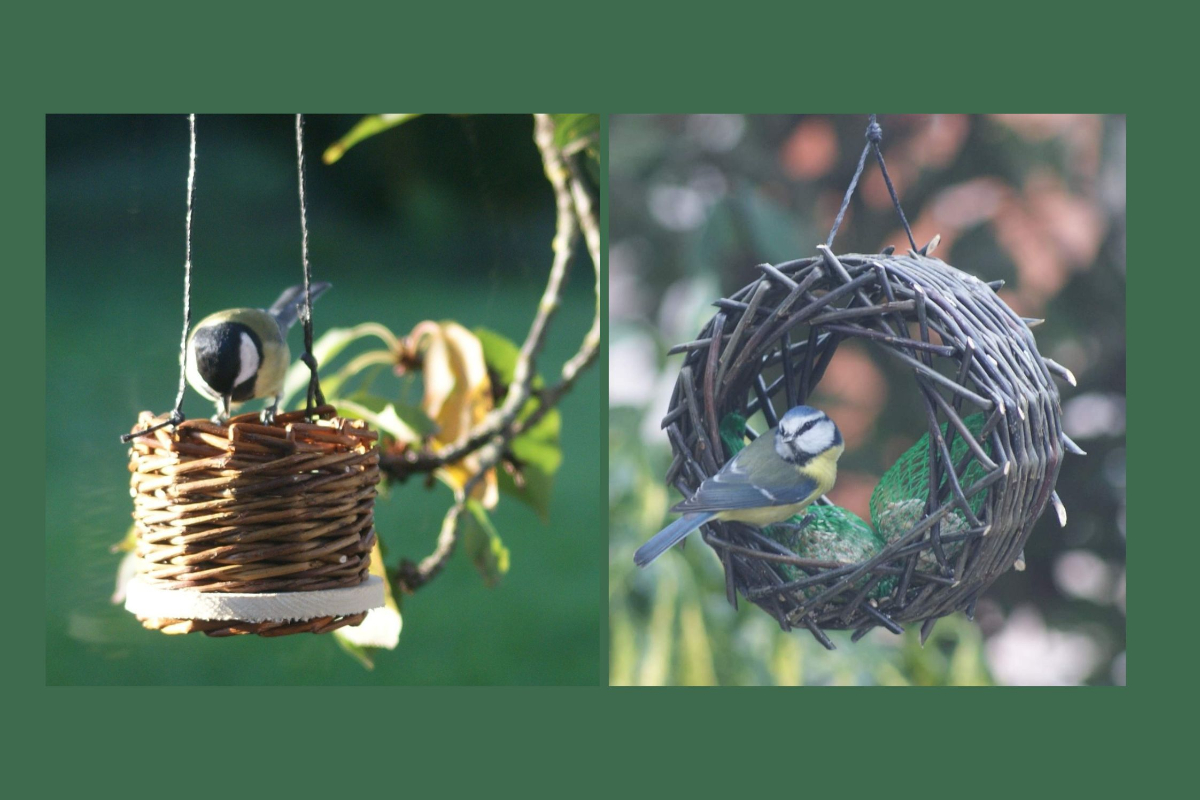 Stage de vannerie adulte | Créez deux mangeoires à oiseaux en osier