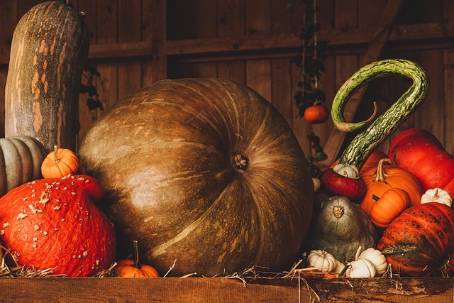 Repas d'automne  par Saint-Quentin Loisirs