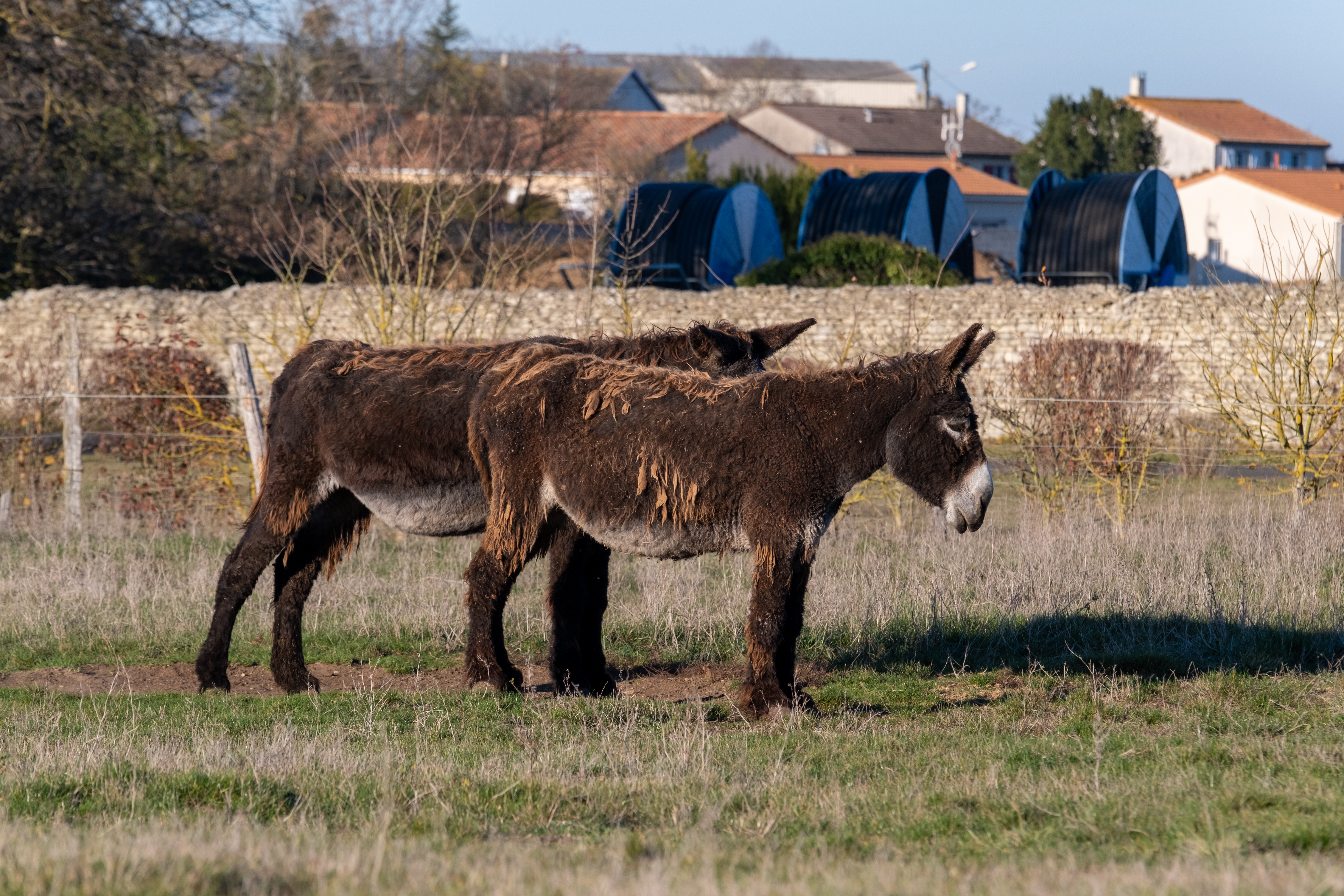 De Coteaux en souterrains