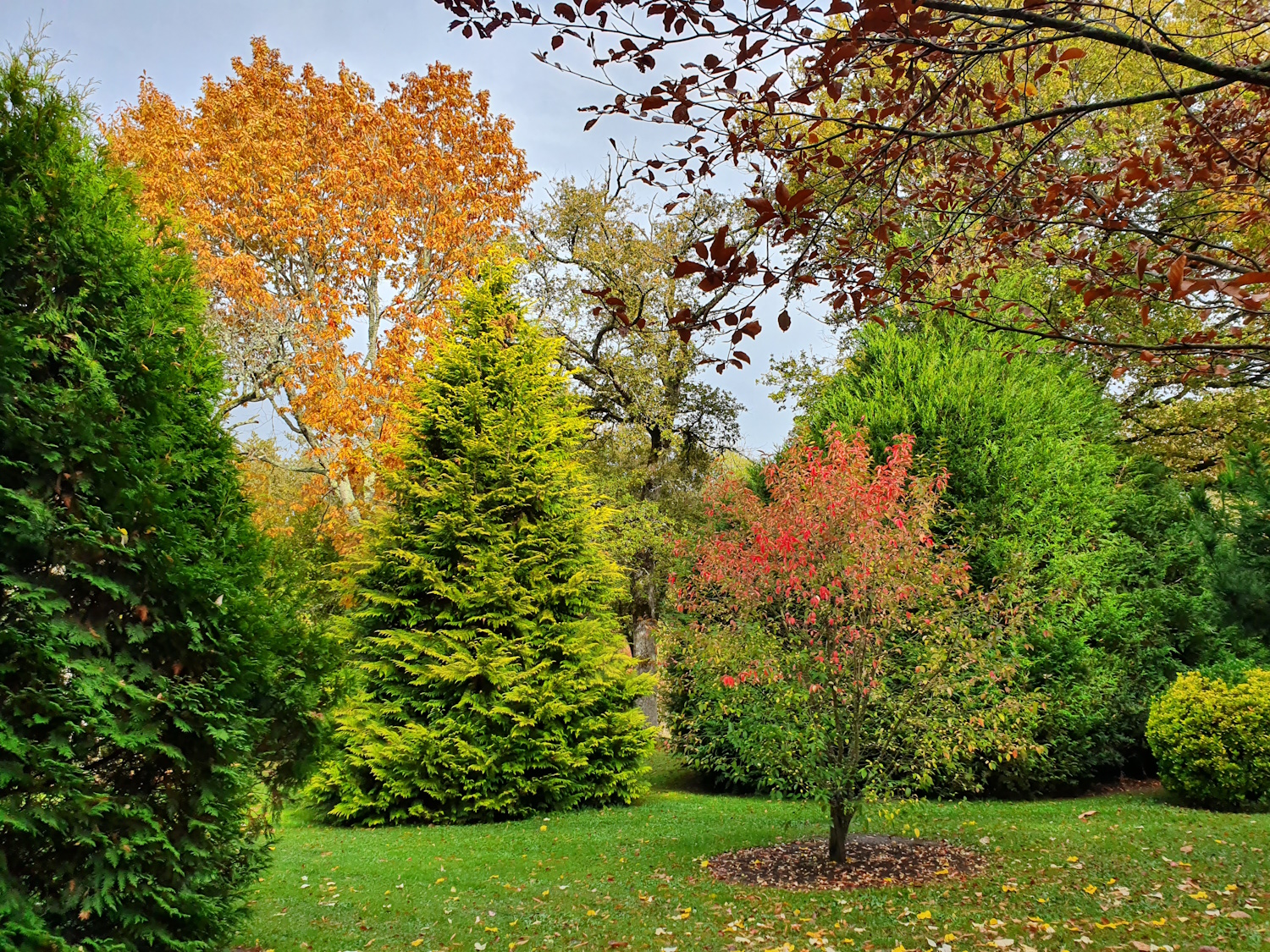 Arboretum communal