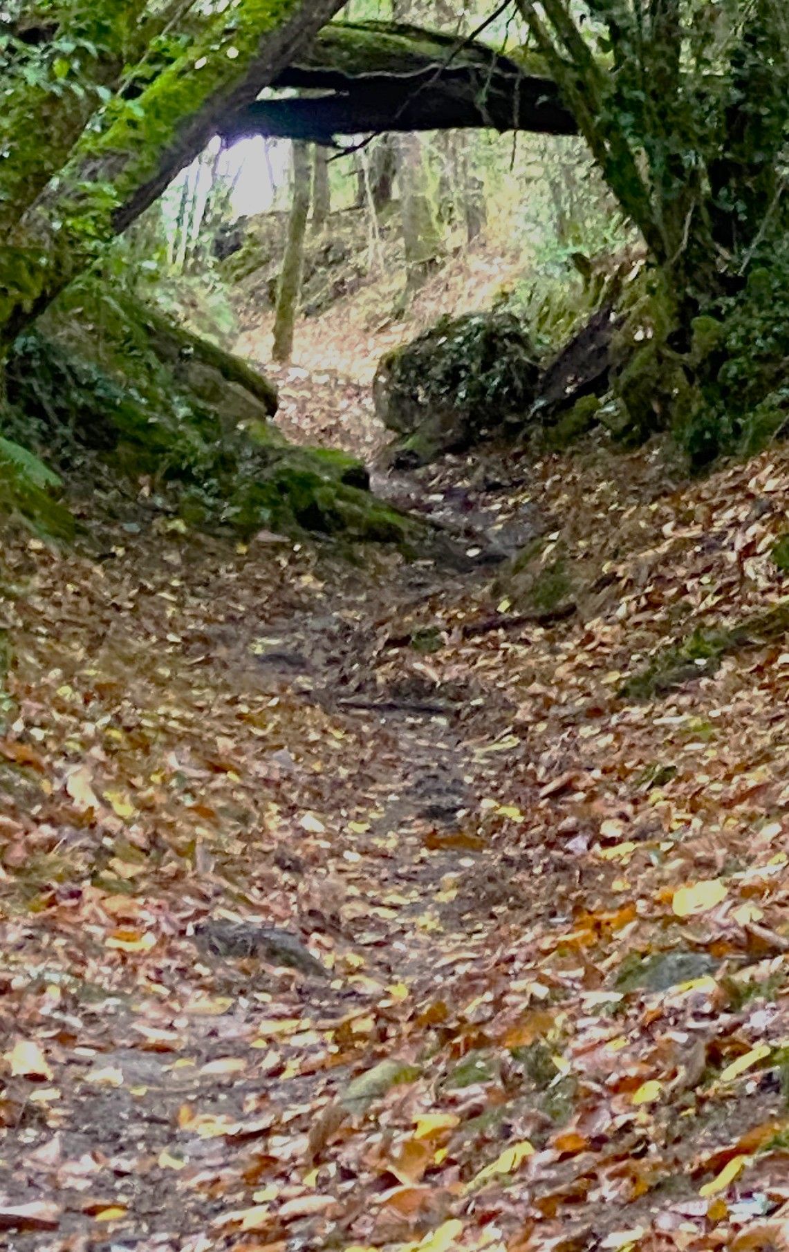Boucle du Buisson