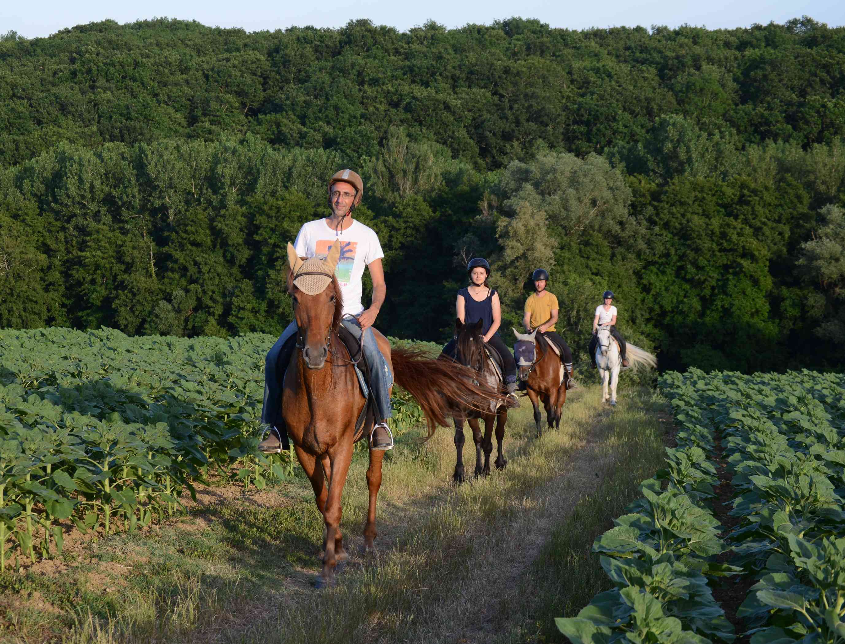 Ferme Equestre Crinière au Vent, Monbalen - photo 2
