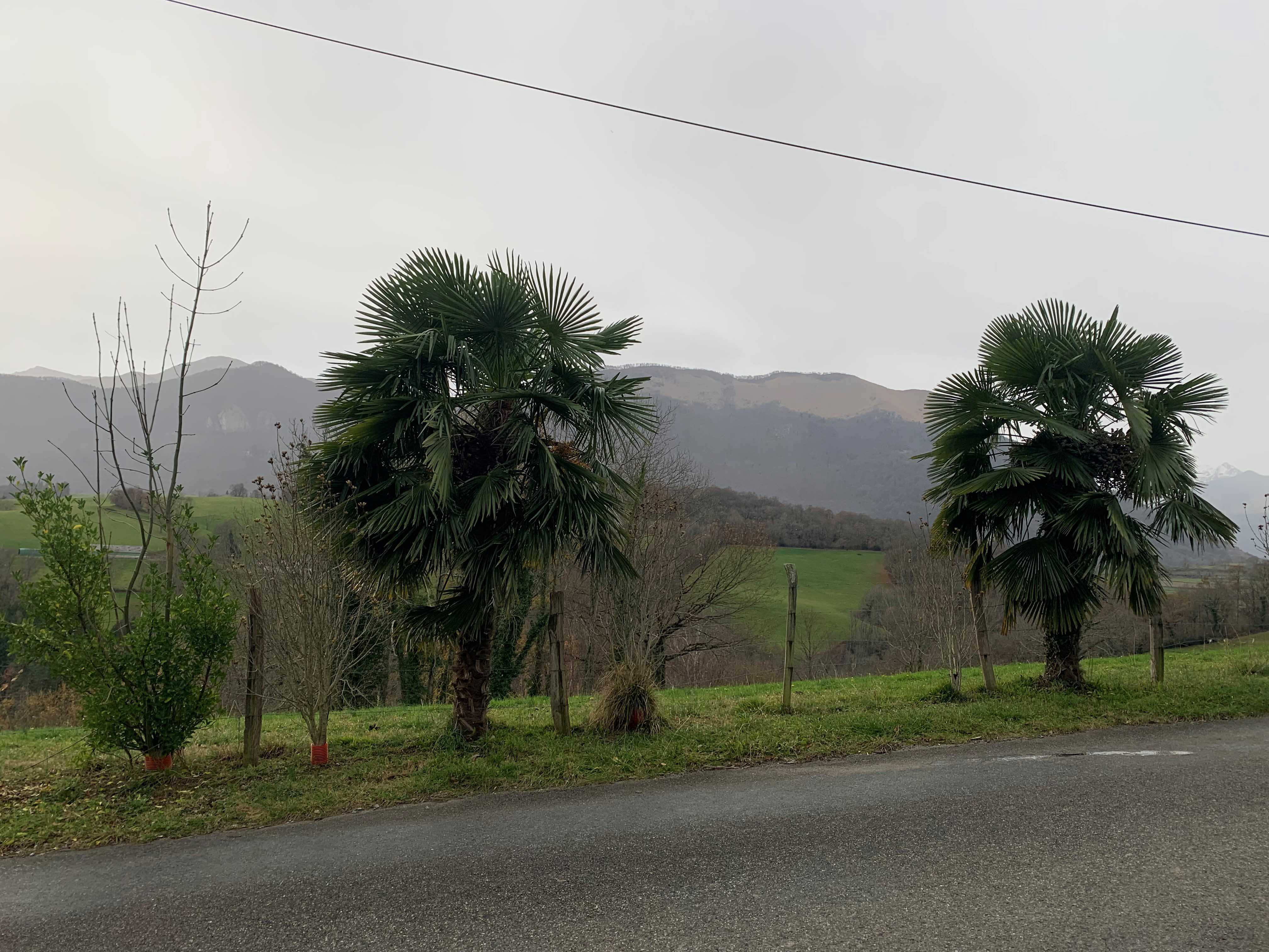 Le Balcon du Rey d'Ossau
