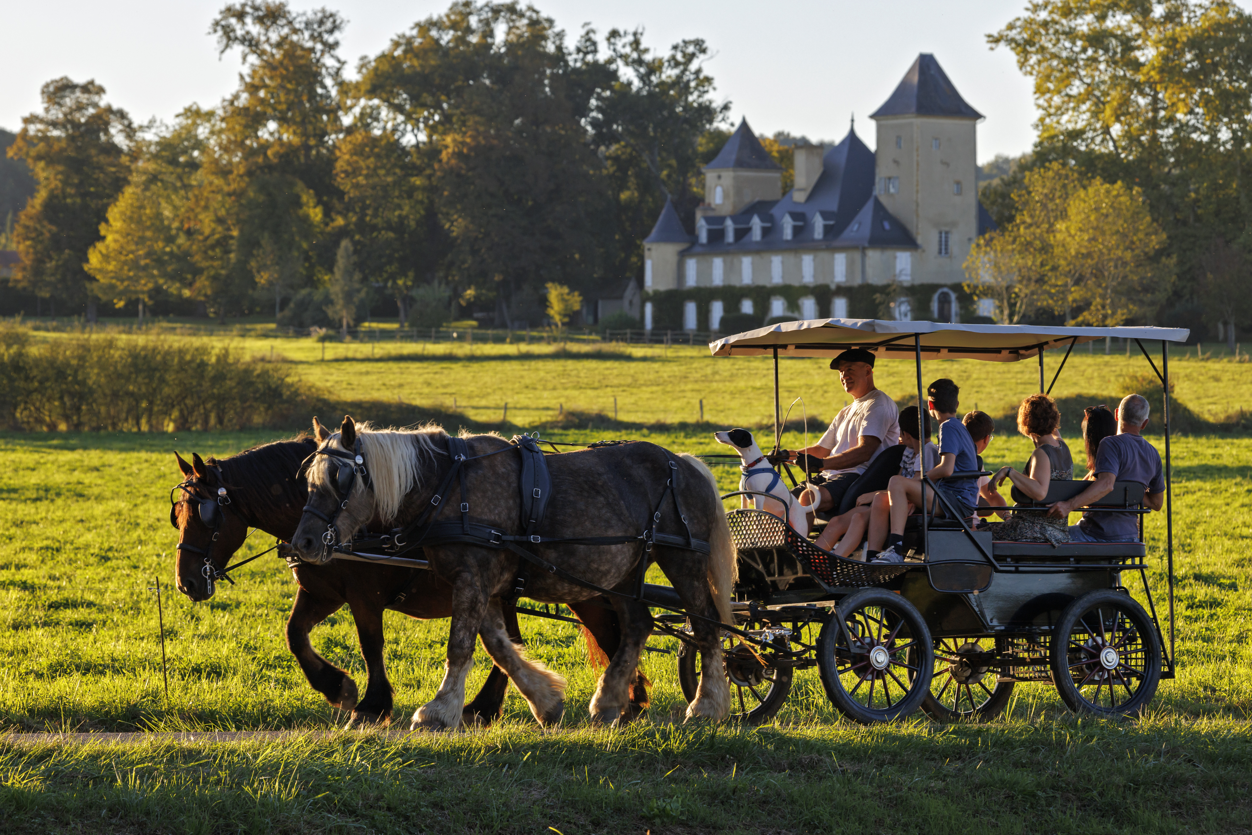 Journée à la ferme, à la Ferme au Bèth Loc