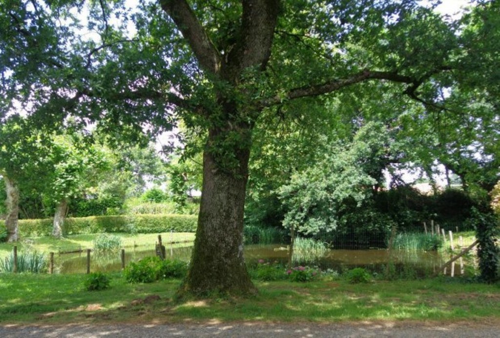 Camping La ferme Bizençon