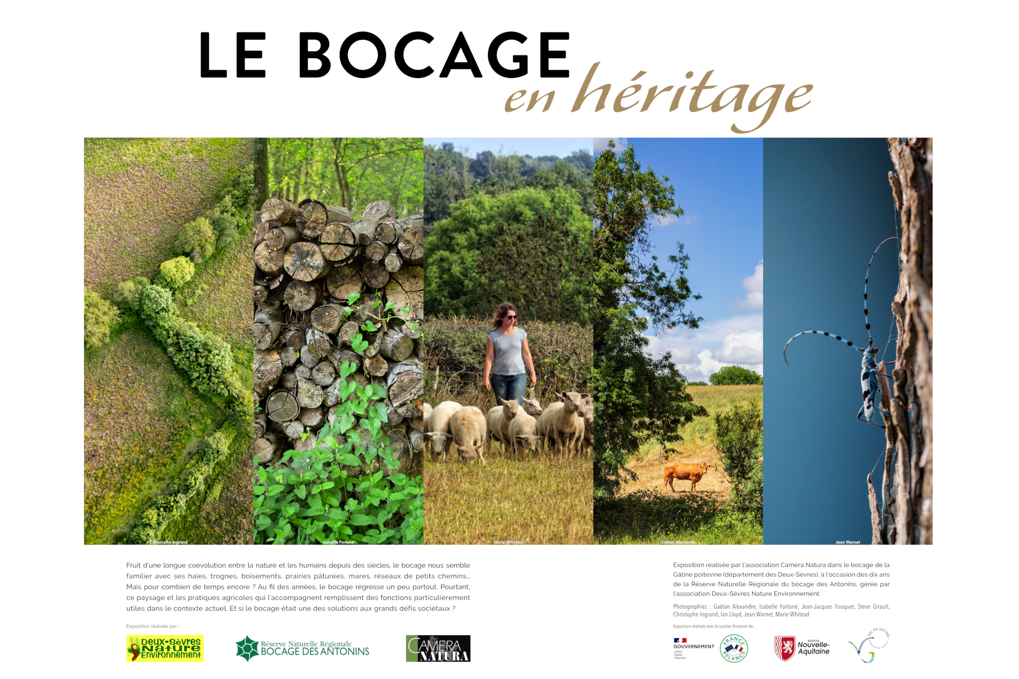 Exposition photos : "Le bocage en héritage"