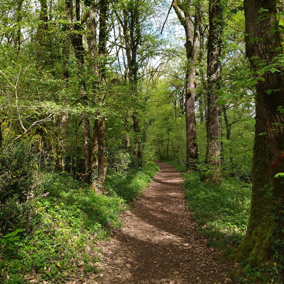 Huit sites naturels de la Vienne où la nature reprend ses droits