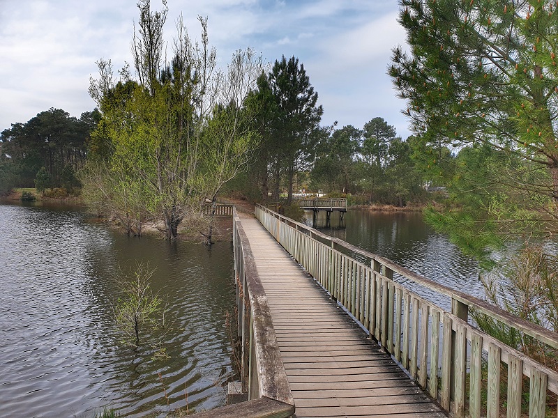 Balade à roulettes : Le bois des sources du Peugue - Impraticable