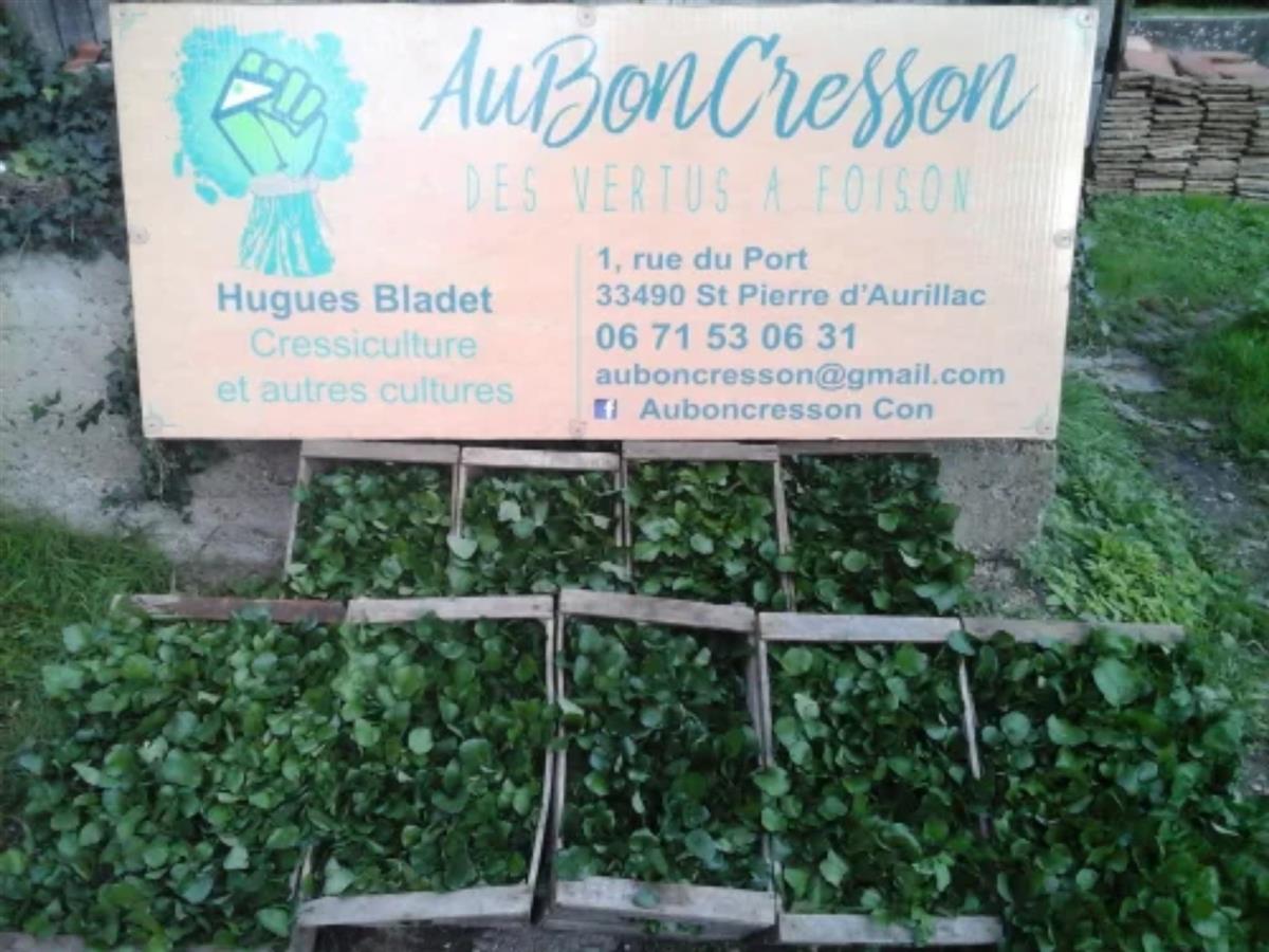 Affiche ou photo : Ici, nos savoir-faire - Visite de l'exploitation "Au bon Cresson"