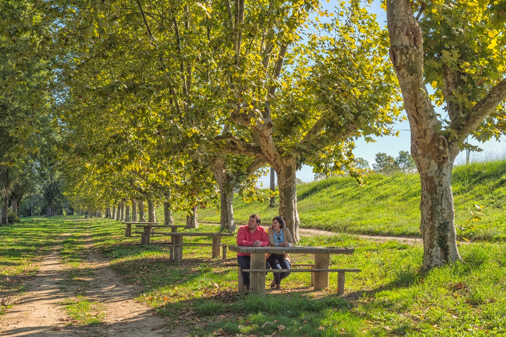 Aire de pique nique au bord de l'Adour