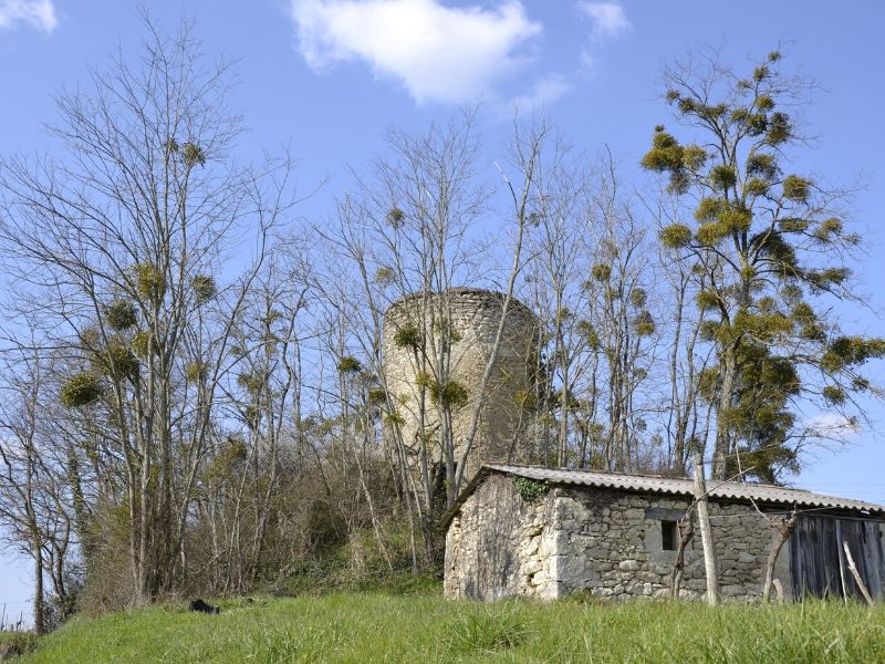 Boucle du Moulin
