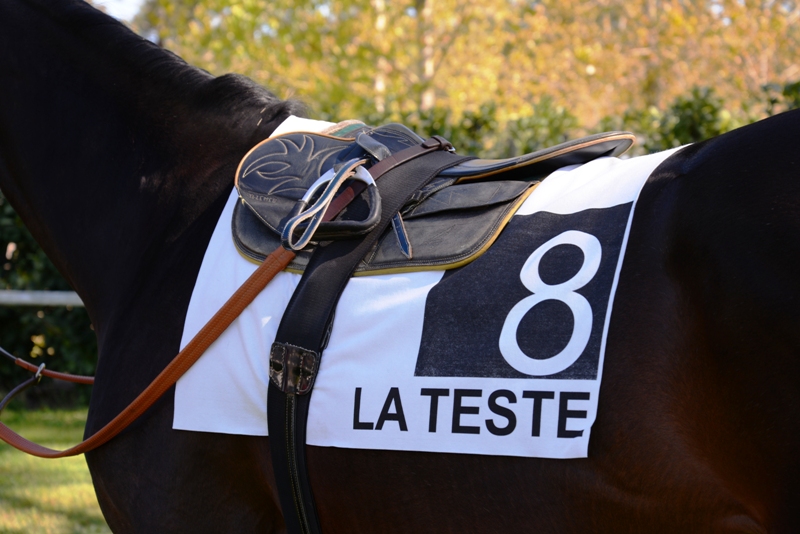 Hippodrome de La Teste-de-Buch
