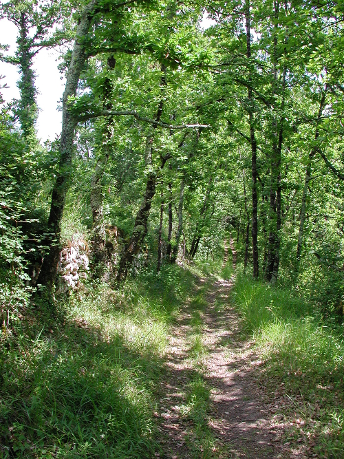 Dondas, balade dans les coteaux du Pays de Serres