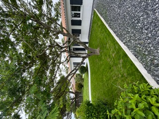Villa Launa