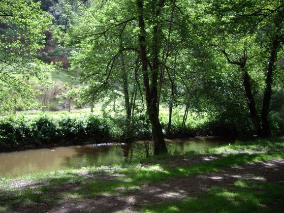 Pêcher dans les eaux vives du Périgord  depuis Jumilhac le Grand
