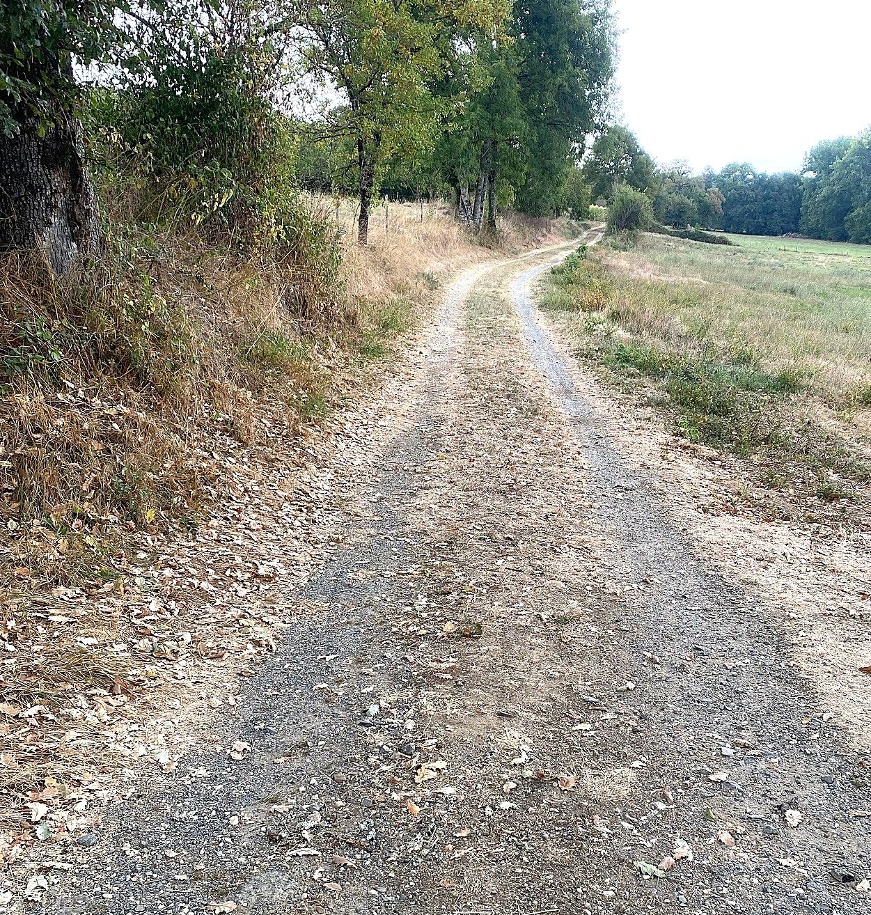 CHERVEIX-CUBAS-Boucle des coteaux de l'Auvézère-chemin 2