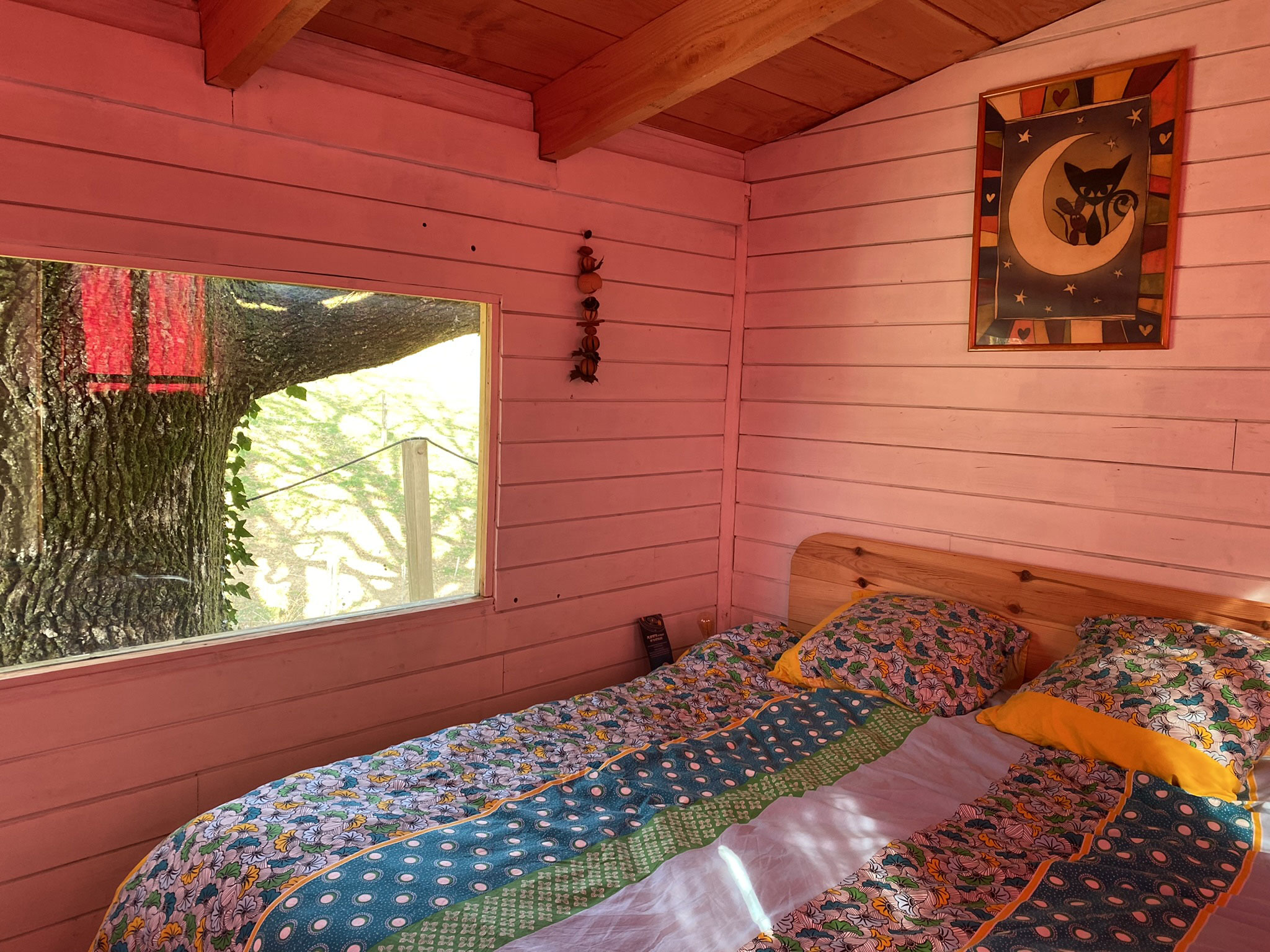 Cabane sous le chêne tricentenaire