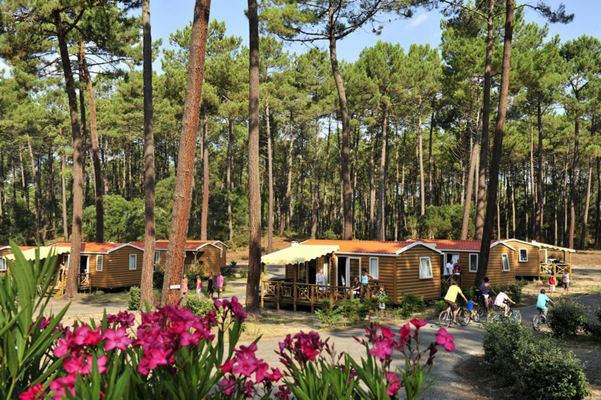 Camping Landisland