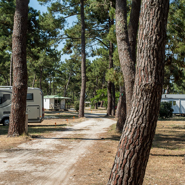 Camping Municipal de l'Océan