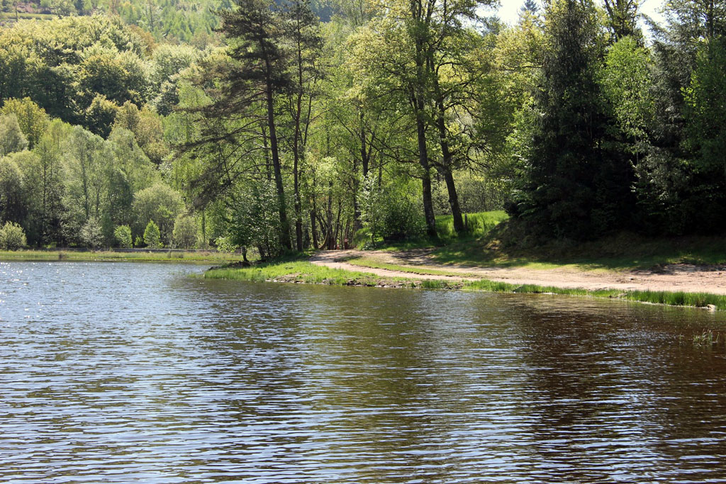 Camping municipal de l'Enclose