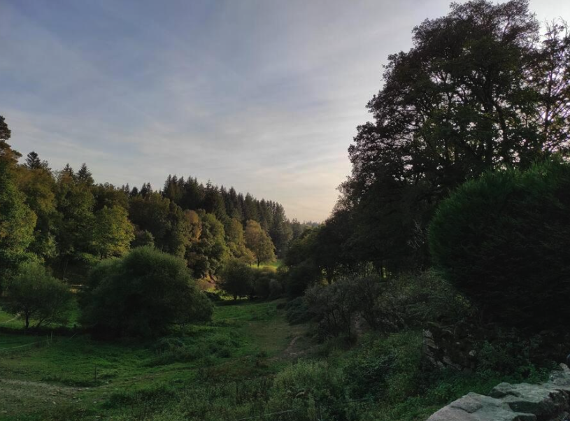 Meublé de tourisme Le Ranch de Vassivière