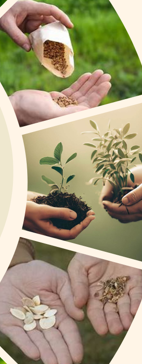 Troc plantes, graines et boutures au Foyer Rural